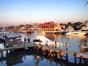 1391452_779514096073_3688764999186077557_n